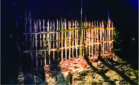 Image of মো: নজিবুল সরকার